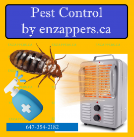 Pest Control by enzappers.ca call 647-354-2182
