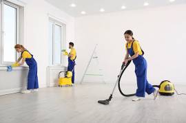 Immaculate Move-In Cleaning Services - Unpack and 