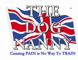 The Dog Nanny Canine Training Academy